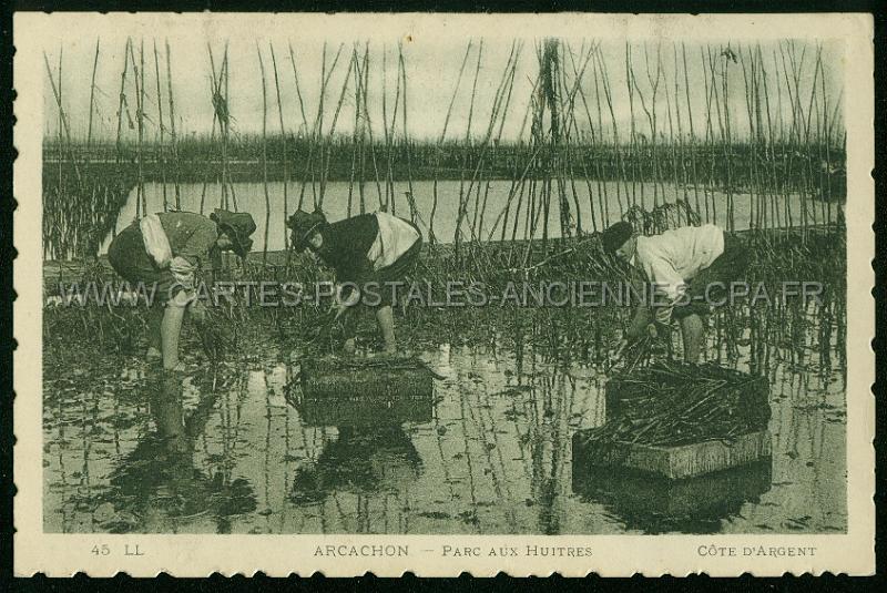 Cartes postales anciennes 12817.jpg
